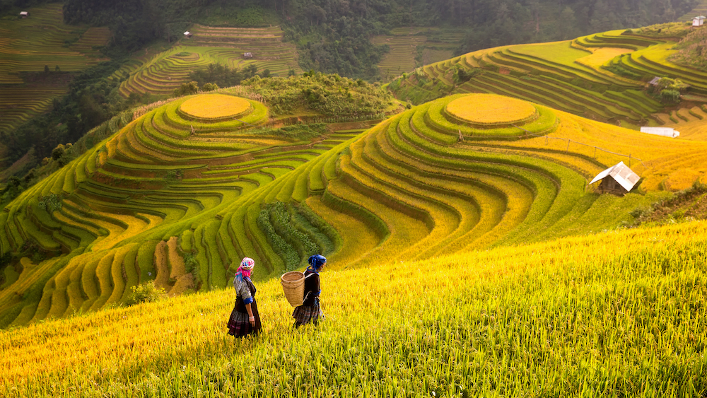 Ninh Bình - Sapa